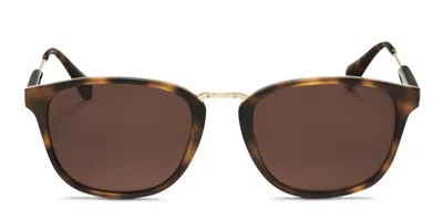 Sandro Sds1007 Tortoise