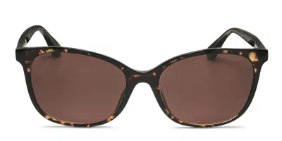 Sandro Sds2009 Tortoise,brown