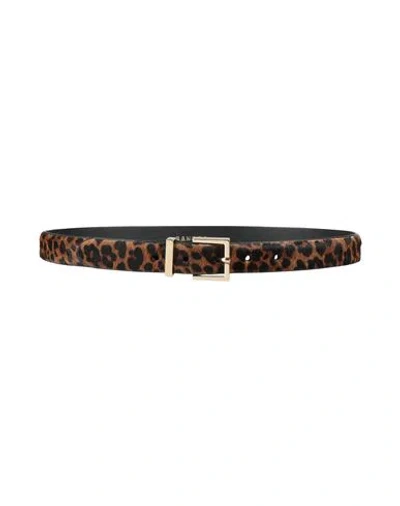 Sandro Woman Belt Brown Size 1 Cowhide