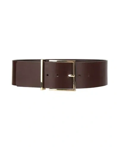 Sandro Woman Belt Chocolate Brown Size 3 Cowhide In Bruns