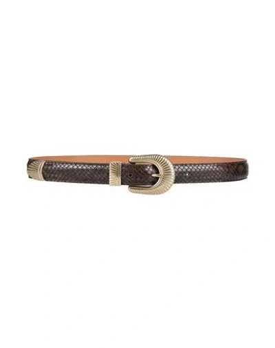 Sandro Woman Belt Dark Brown Size 1 Calfskin