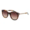 Sandro Brown Women Sunglasses