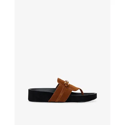 Sandro Womens Buckle-embellished Toe-post Suede Sandals Brown Eur 40 / 7 Uk