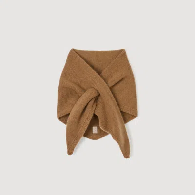 Sandro Wool And Cashmere Scarf In Brown