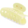 Sandy Liang Princess Crystal Embellished Claw Clip In Green