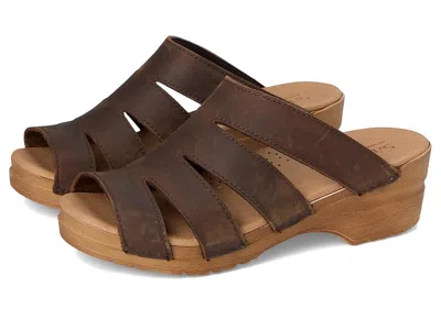 Sanita Monika In Brown