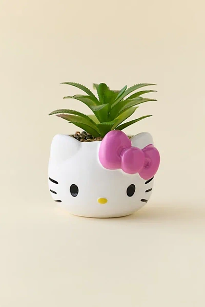 Sanrio Hello Kitty Head Shaped Succulent Planter In White At Urban Outfitters