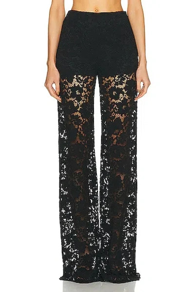 Sans Faff London Lace Flared Pant In Black