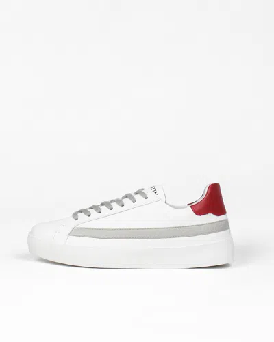 Sans Matin Olympus Low Top Trainers In White