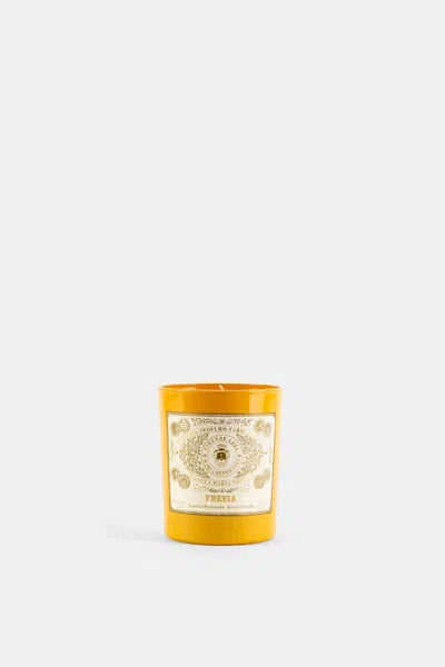 Santa Maria Novella Freesia-scented Scented Candle In Yellow