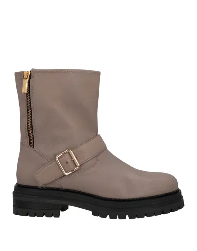 Santandrea Ankle Boots In Grey