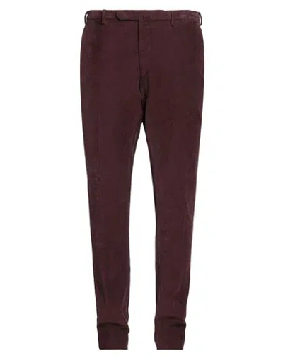 Santaniello Evoluto Man Pants Burgundy Size 42 Cotton, Elastane In Red