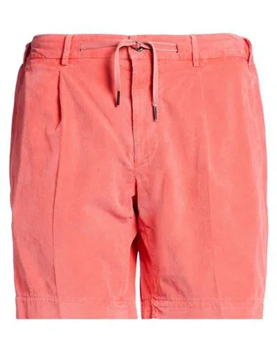 Santaniello Evoluto Man Shorts & Bermuda Shorts Coral Size 34 Cotton In Red