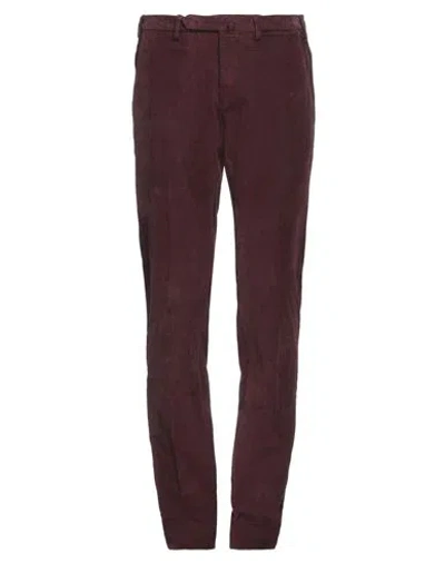 Santaniello Man Pants Burgundy Size 30 Cotton, Elastane In Red