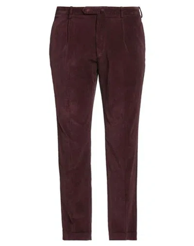 Santaniello Man Pants Burgundy Size 36 Cotton, Elastane In Red
