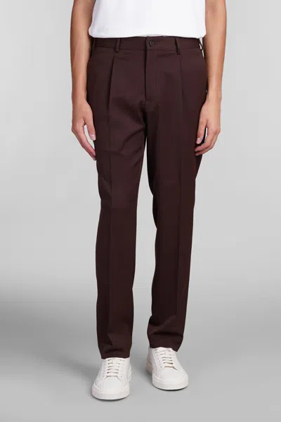 Santaniello Irno Viag Pants In Bordeaux Polyester In Red