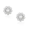 Santinni Women's Coronet Silver Earring With Freshwater Pearl In Silver