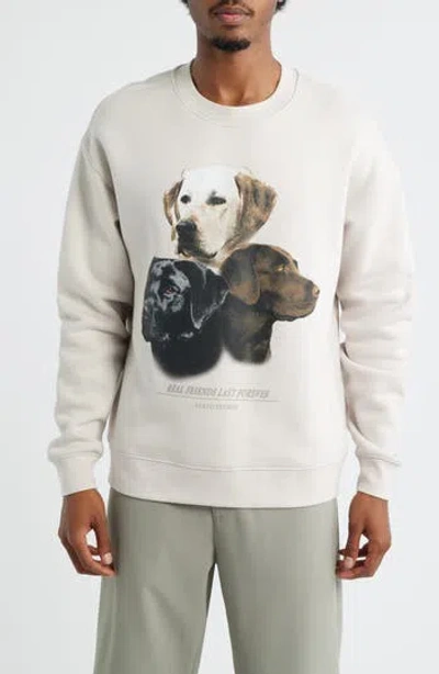 Santo Studio Forever Graphic Sweatshirt In Gray