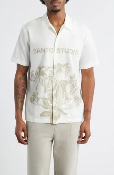 Santo Studio Jett Lawrence Edition In Pink