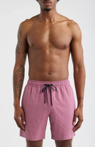 Santo Studio Lido Swim Trunks In Pink