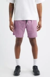 Santo Studio Tempo Tech Shorts In Purple
