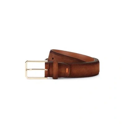 Santoni Brown Suede Adjustable Belt Urbino Brown