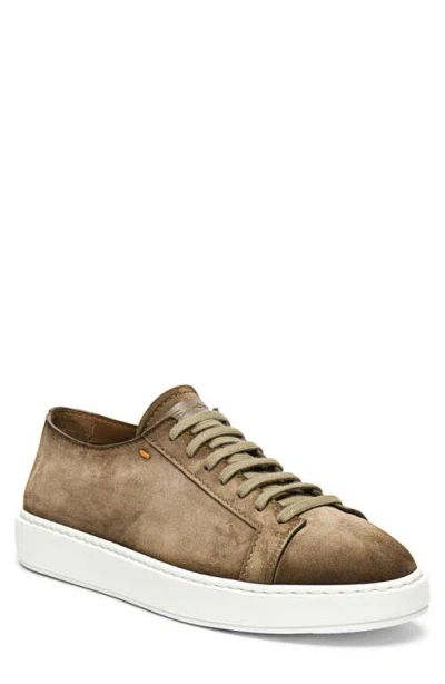 Santoni Damps Low Top Suede Sneaker In Brown