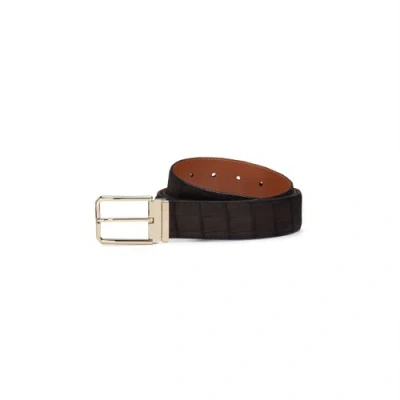 Santoni Dark Brown Alligator Nubuck Belt Quercia Brown In Black