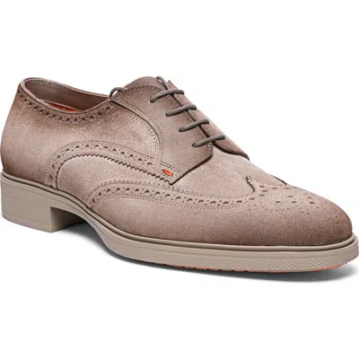 SANTONI SANTONI EASY WINGTIP BROGUE DERBY