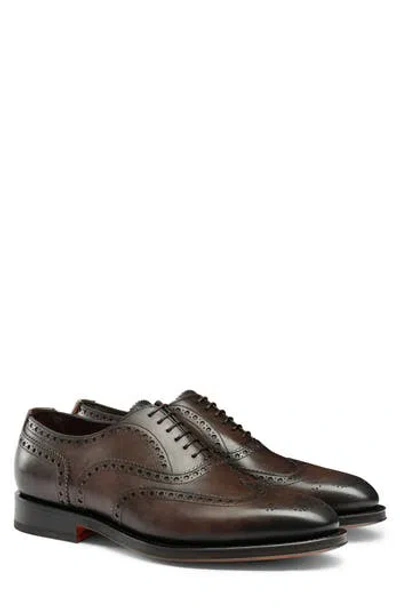 Santoni Enrico Brogue Wingtip Oxford