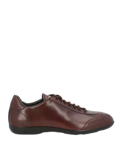 Santoni Man Sneakers Chocolate Brown Size 6 Soft Leather