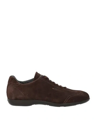 Santoni Man Sneakers Dark Brown Size 8 Leather