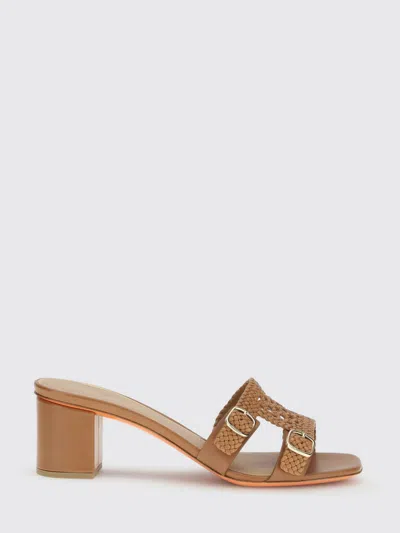 Santoni Shoes Woman  In Brown