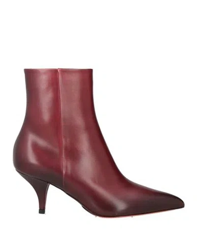 Santoni Woman Ankle Boots Burgundy Size 5 Leather In Red