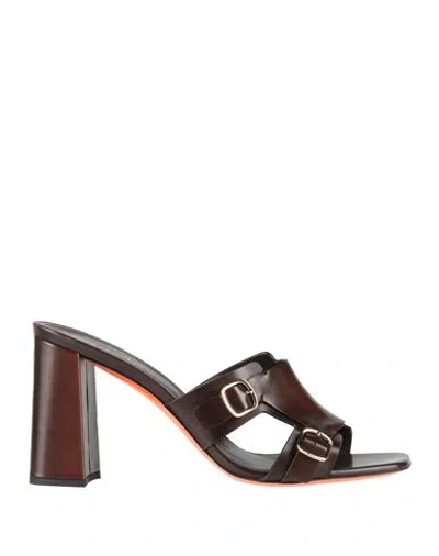 Santoni Woman Sandals Dark Brown Size 7.5 Leather