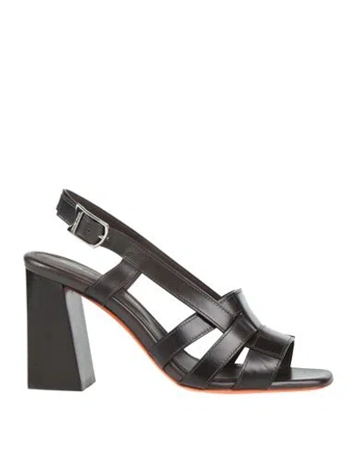 SANTONI SANTONI WOMAN SANDALS DARK BROWN SIZE 8 LEATHER