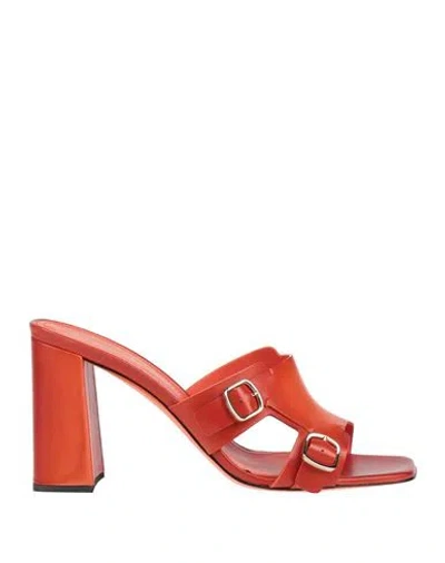 Santoni Woman Sandals Orange Size 7.5 Leather