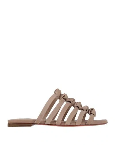 Santoni Woman Sandals Taupe Size 8 Leather In Gray