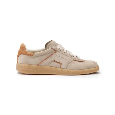 Santoni Women's Dove Grey Suede Sneaker Terracruda Dove Grey In Brown