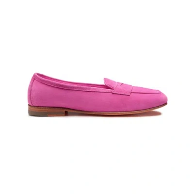 Santoni Women's Pink Suede Carla Penny Loafer Lampone Pink In Animal Print
