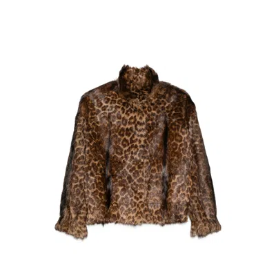 Santoro Jackets In Brown/black