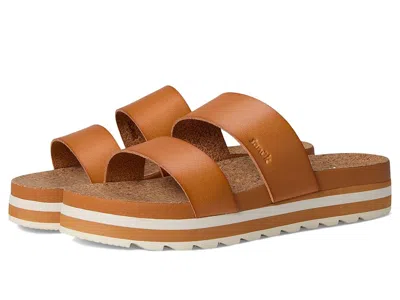 Sanuk Alt-itude In Brown
