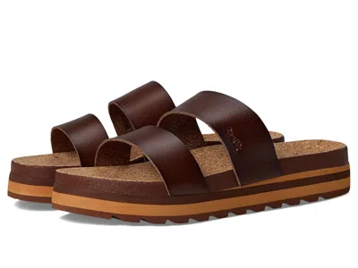 Sanuk Alt-itude In Brown