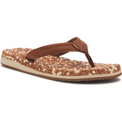 Sanuk Bubblecush Flip Flop In Brown