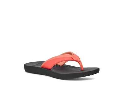 Sanuk Cosmic Aquarius 2 In Orange