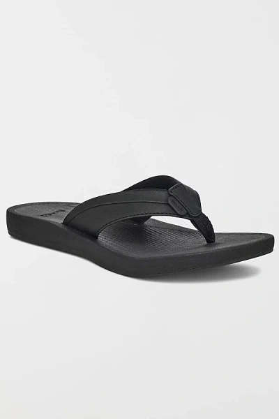 Sanuk Cosmic Aquarius 2 Women's Sandals In Black, Women's At Urban Outfitters