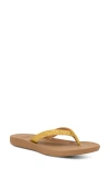 Sanuk Cosmic Shores Water Friendly Flip Flop In Brown