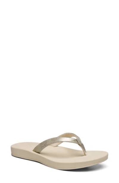 Sanuk Cosmic Shores Water Friendly Flip Flop In Gold