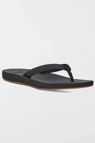 Sanuk Cosmic Shores Women's Sandals In Black, Women's At Urban Outfitters