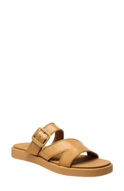 Sanuk Cove Two-strap Sandal In Brown